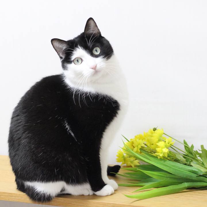 027d46e3 dca3 4bb8 bdb0 7ce25d6d0cdc 1570835684736