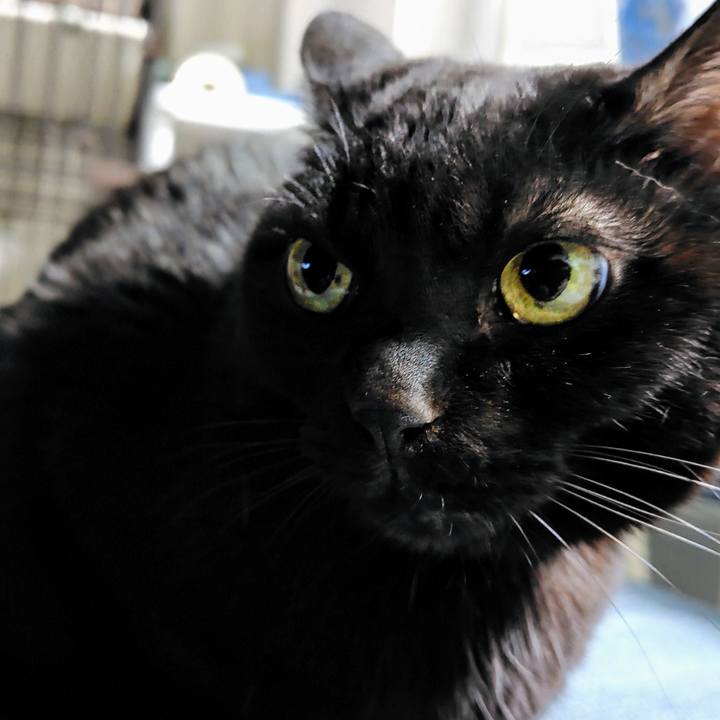 027d51b6 00f9 4204 99d2 9b2f4aae214a 1767180414461