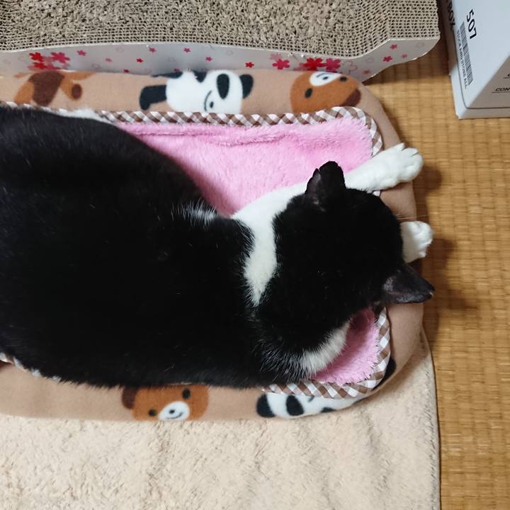 027d5a6c 28aa 4959 9126 ec9b5b08e93d 1571141573954