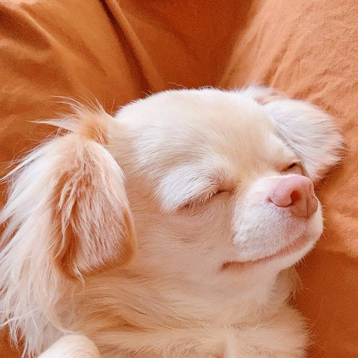 027d6bdb 3024 4b1b a6d1 621d7745289e 1625797664946