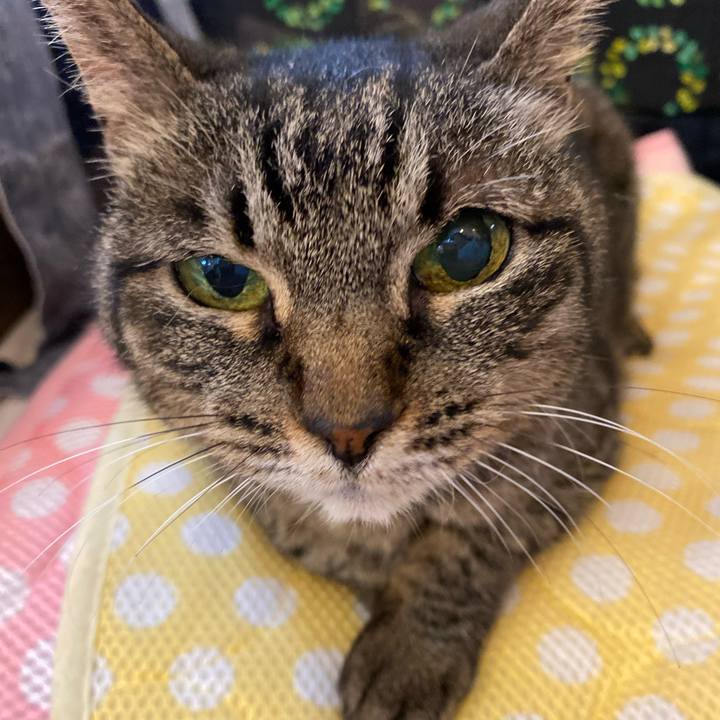 027dae53 a27f 4d90 a868 331eeb2bf926 1625563292625