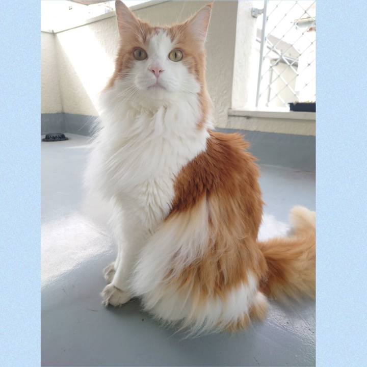 027dca33 debf 4f55 8669 6a50d3a0c06a 1627693211227