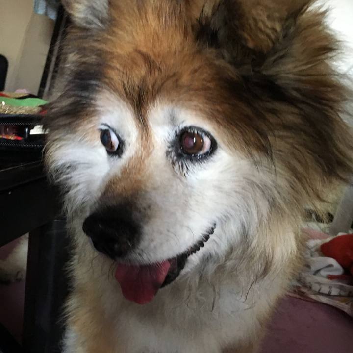 027dd519 1e4c 4594 8f33 6a9c11b57329 1568009318565