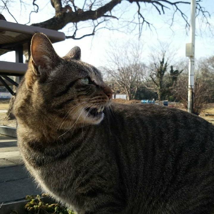 027dd713 4637 4689 8c30 7c53629065ac 1516068652390