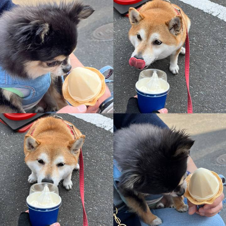 027ddf62 ce1b 4bc5 a8c0 752fe07af5a7 1649407822673