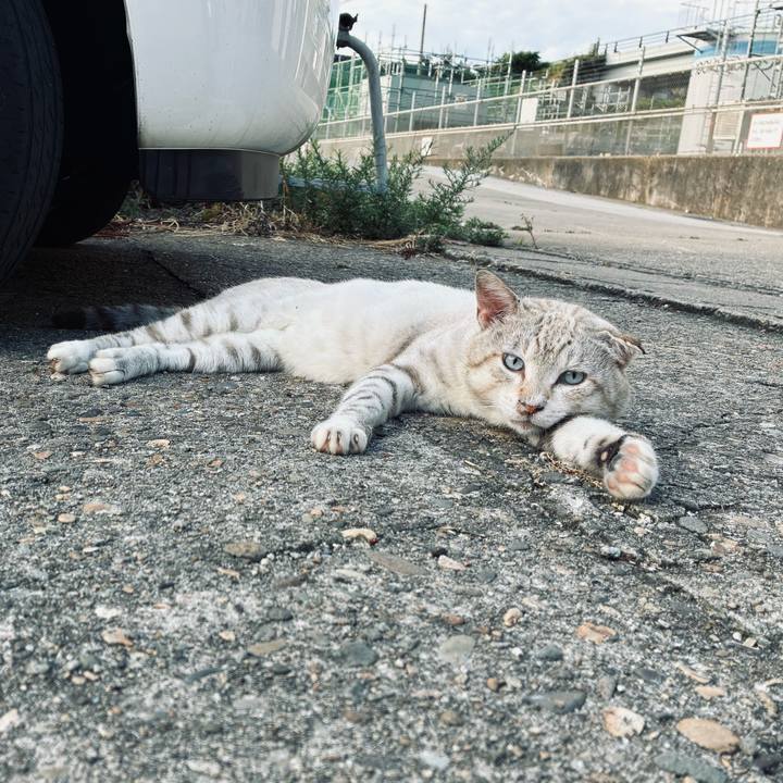 027de8e8 418a 436d bcd0 ae053105cb19 1765721748951