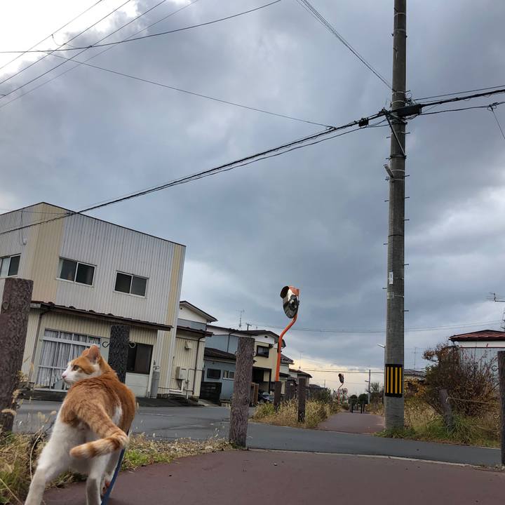 027dfe56 fd97 4bfa be12 1a563161f804 1544175545950