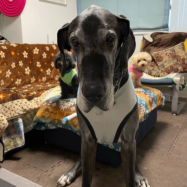 027e040b cdd5 4c02 9bed 312df537feb3 1648766751865