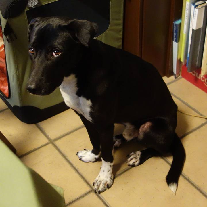 027e32ba 3fa8 4dc4 b8fb a2e611cddae4 1582332677185