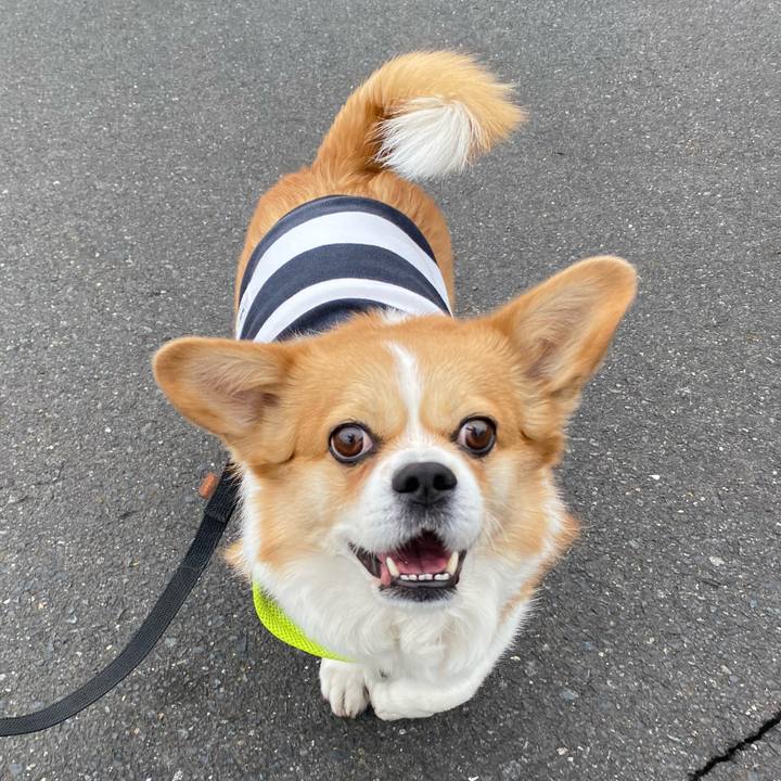 027e5b4b c31d 4873 a5ff 5ba10a0953a7 1772757514867