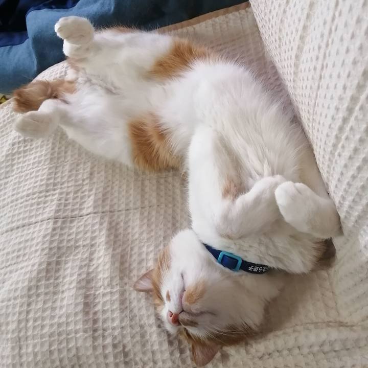 027e6963 5232 4d0a 9522 553be897d93f 1655595934901