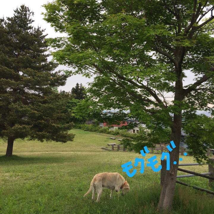 027e75a7 b74a 4b26 abbf eec39bf95ca1 1526171068133