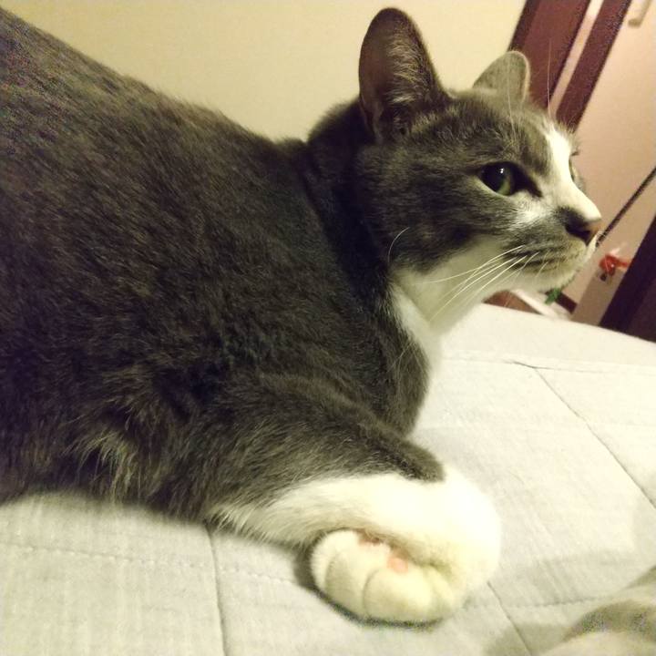 027e90dc 5e39 4e49 b2f0 4cd5ef28939e 1645832444158