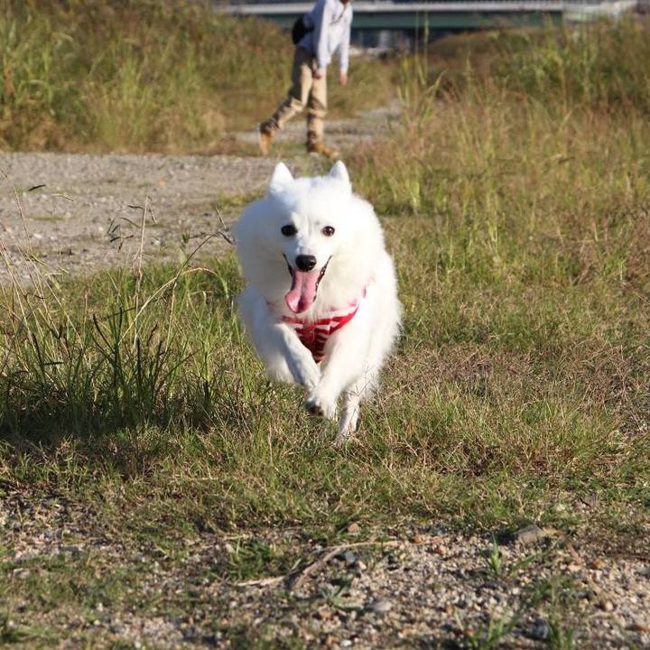 027ebf9a 38a9 480a 9dc1 ef1e481cd203 1540715225256