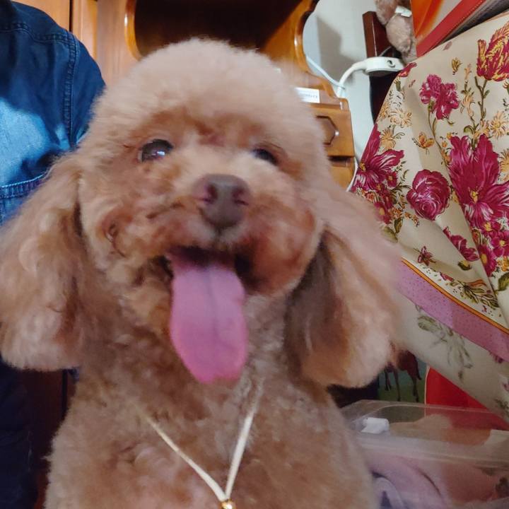 027f0be9 67ee 4121 bc01 b7378b661495 1715512594736