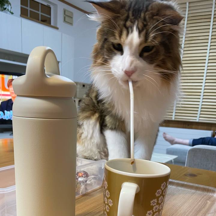 027f3faf b377 44b5 a629 5051acde822a 1663849203251