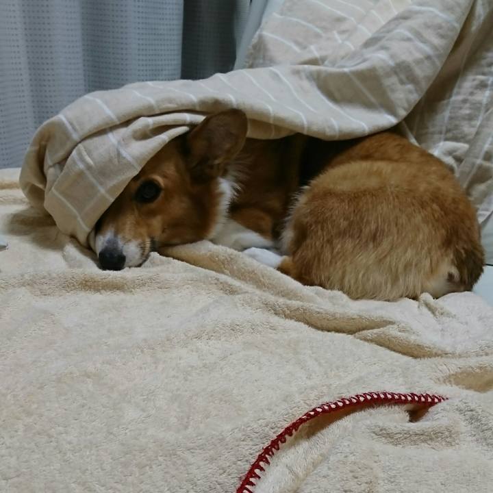 027f5698 b8bf 4009 bebf 78bbac2328a6 1541232231398