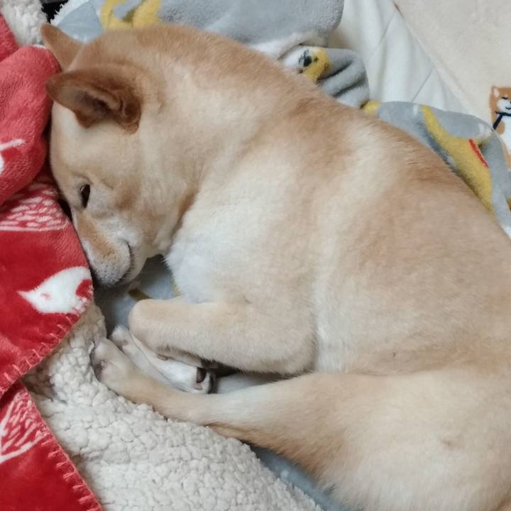 027f588c 00b7 4010 a9ee 6efc44e48df7 1581334994680