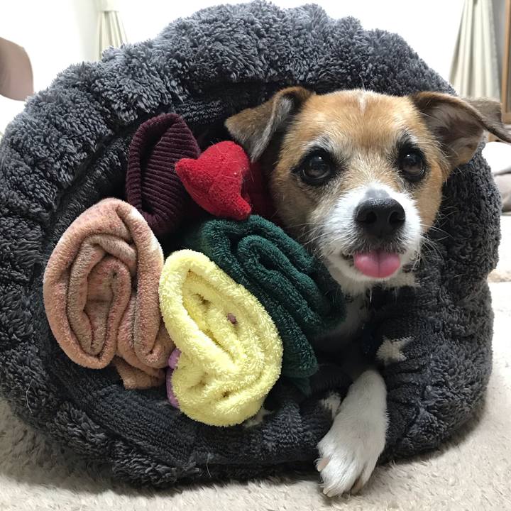 027f88ff d1df 419c 83d3 a6ae95a7cdf0 1549188009060