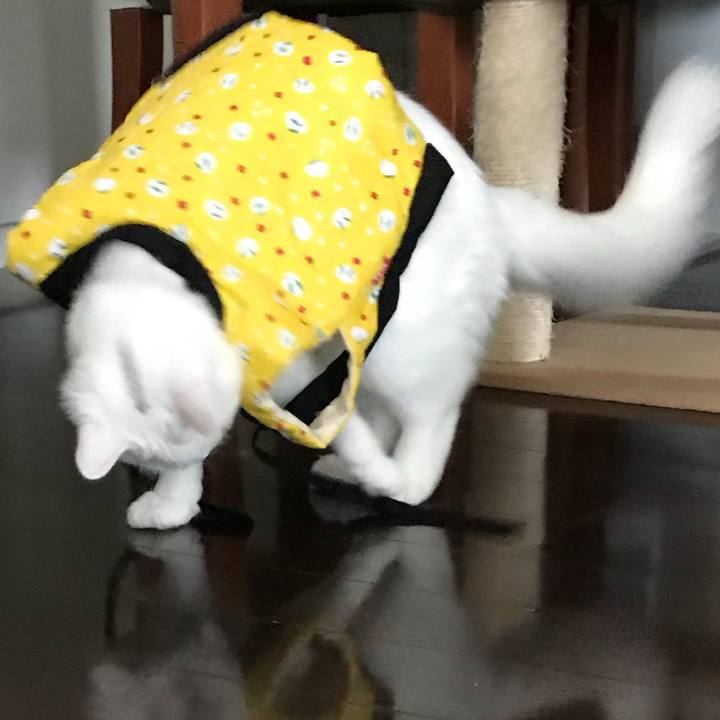 027fa6aa 8cdc 43a8 86f6 bbce6ed192d9 1514771605491