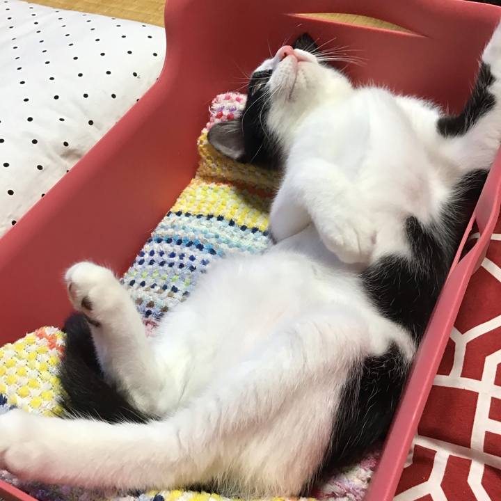 027ff58f b493 4024 a41b ae27b07fcf96 1626591252934