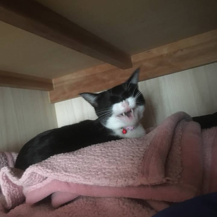 02804230 3222 4dd6 864e 405b2ba2bb61 1542869714869