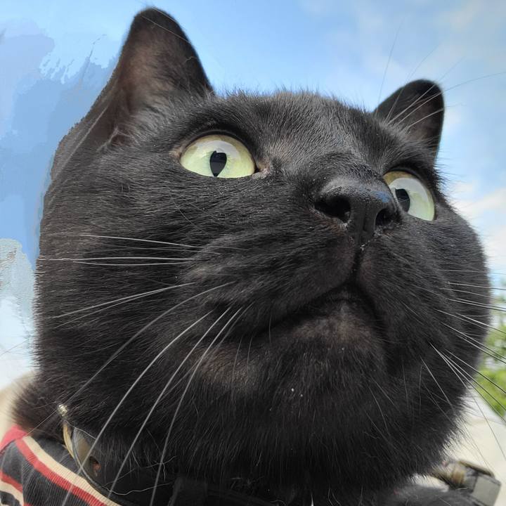 02805941 3a25 405d ad48 3081f6d10d3c 1685602284129