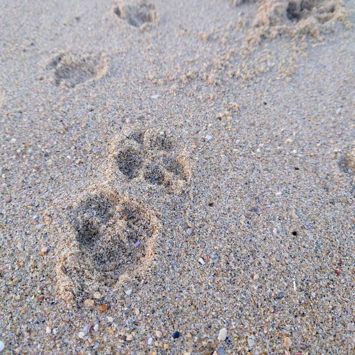 0280849e 38da 45de a532 61738462858d 1765103620129