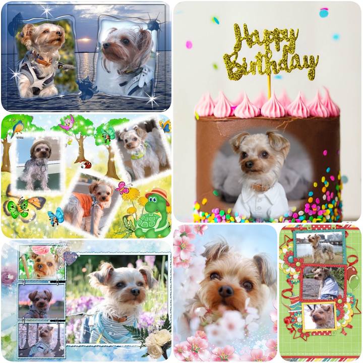 0280a87a fbcb 49a3 8aaf cdb71f7daa5f 1623610528128