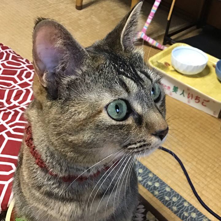 0280bfa0 9631 48ef a5af 14e0facfbd5f 1639002685979