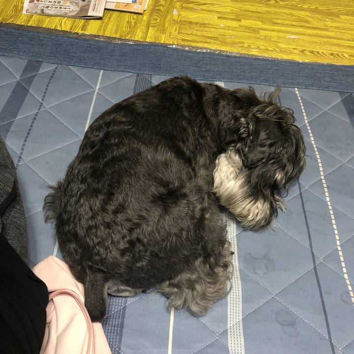 0280c593 a5f4 445c 84d6 9a0120b3c899 1695128627353