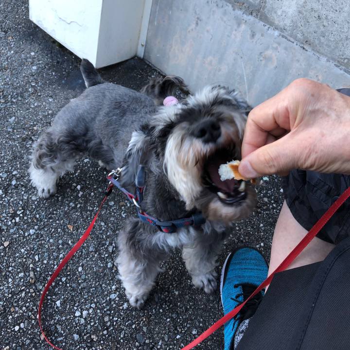 0280e5b3 fcf8 4fb9 ba50 c8305302dbff 1626481955978