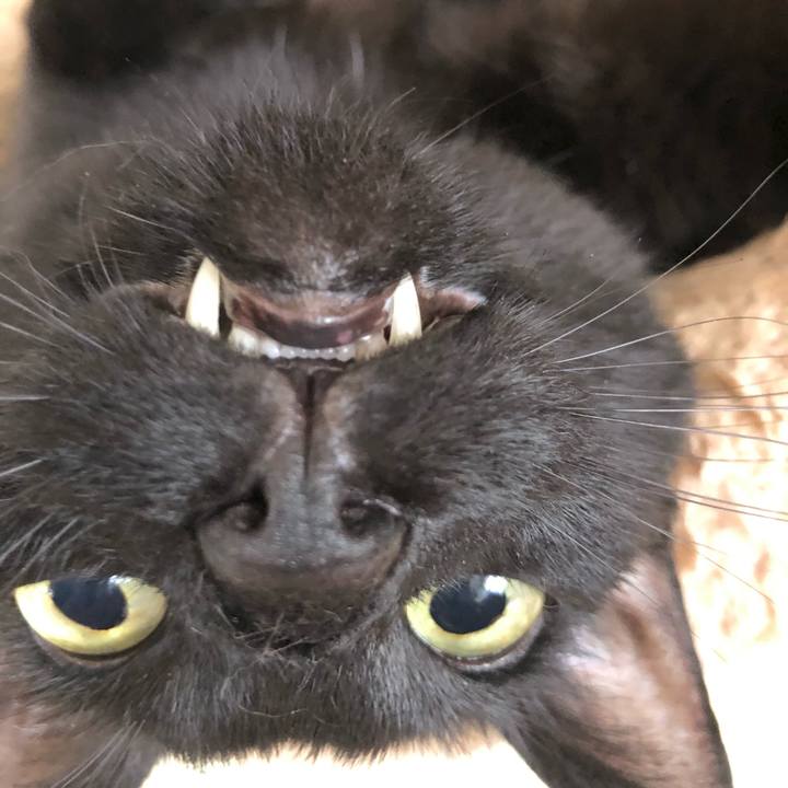 0280fd4f 8673 4462 8dc4 c981c9a9ffe5 1624066011944