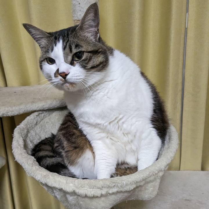 02811d52 c6ff 4803 8ba1 c9c4ae022254 1710593126361