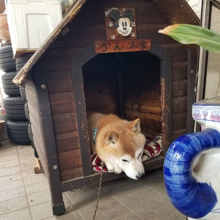 02818c8e d3c8 44aa 8c0b b8d0941338dd 1707443103748