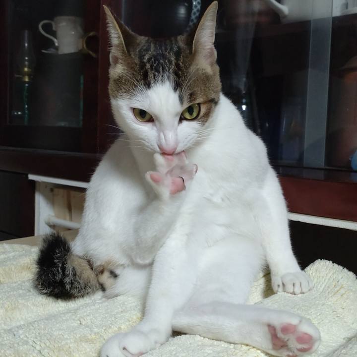 0281a84b 324b 432a a986 2921348f024e 1666996634040