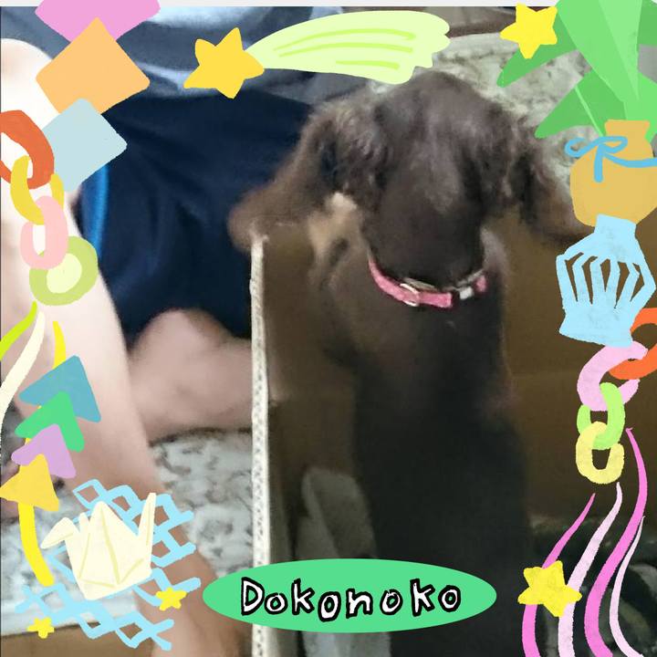 0281e335 d6c6 48dc 9386 9139a200db38 1755243159098