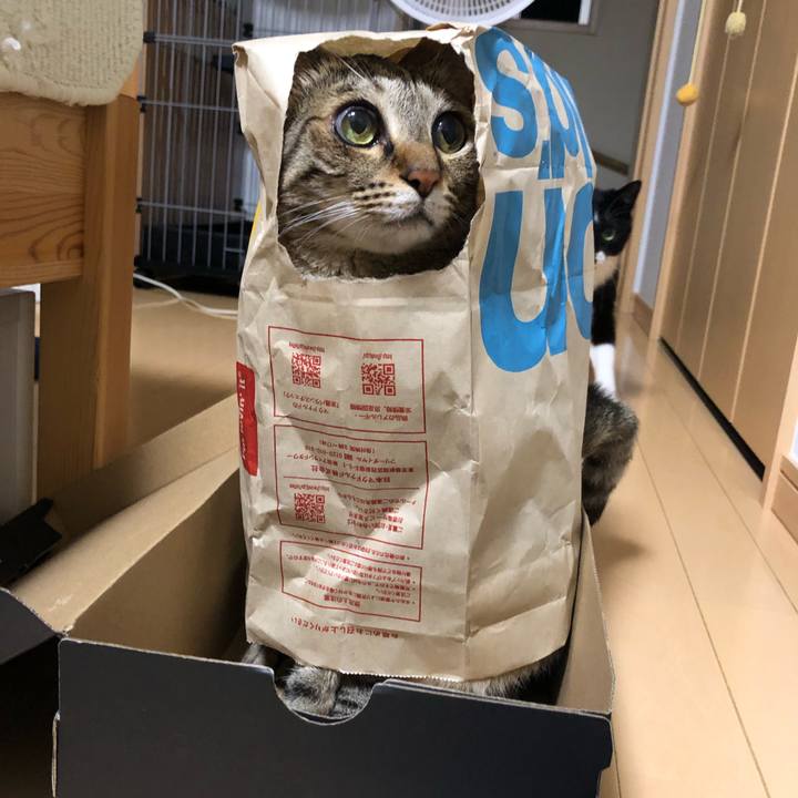 0281f12e 4e48 4437 b761 baab516cc1ee 1654892168825