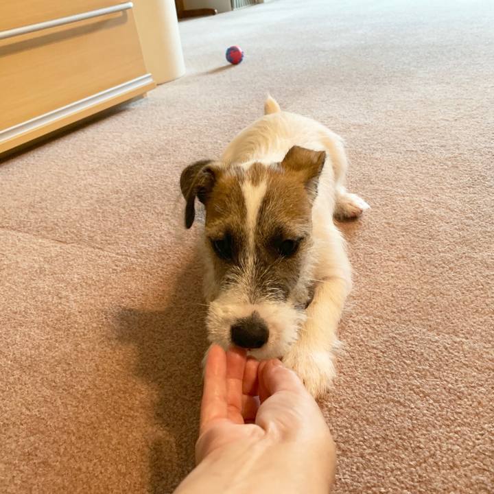 02820df4 99fb 4c3b b279 f7ca9108359a 1562920420236