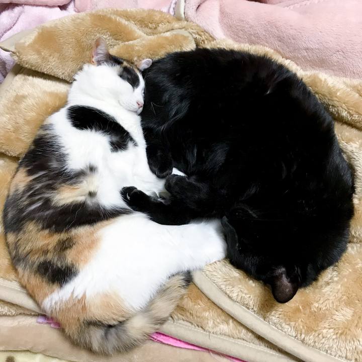 02824751 e354 4863 af1d cf3499c3e728 1519824384766