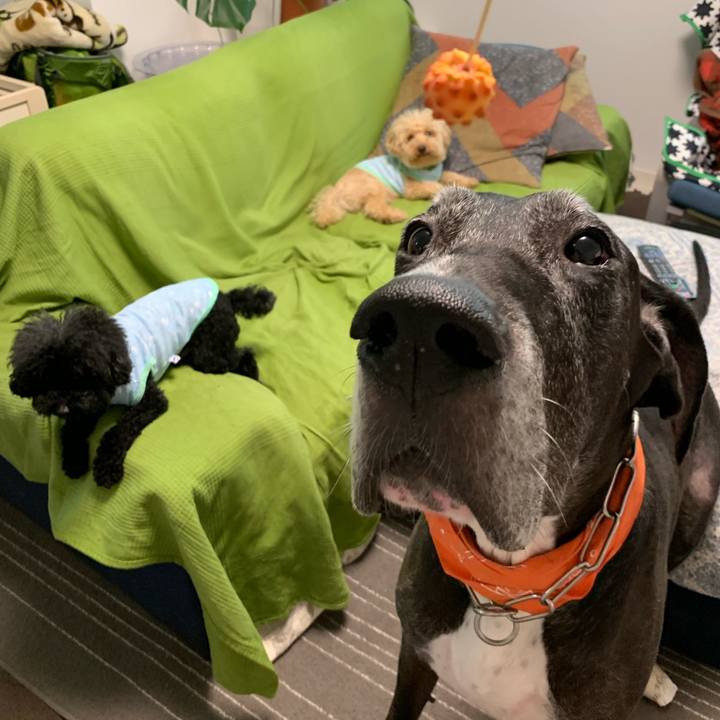 02826e99 8e03 4887 8200 33156af9b757 1564526370760