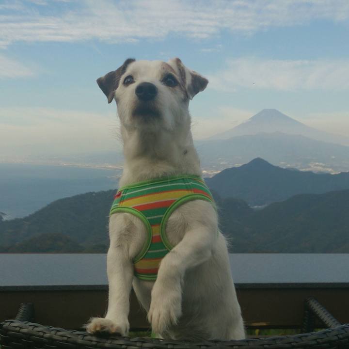 02827a55 23d9 424d 98d2 b635aa9d7c5b 1509604309810