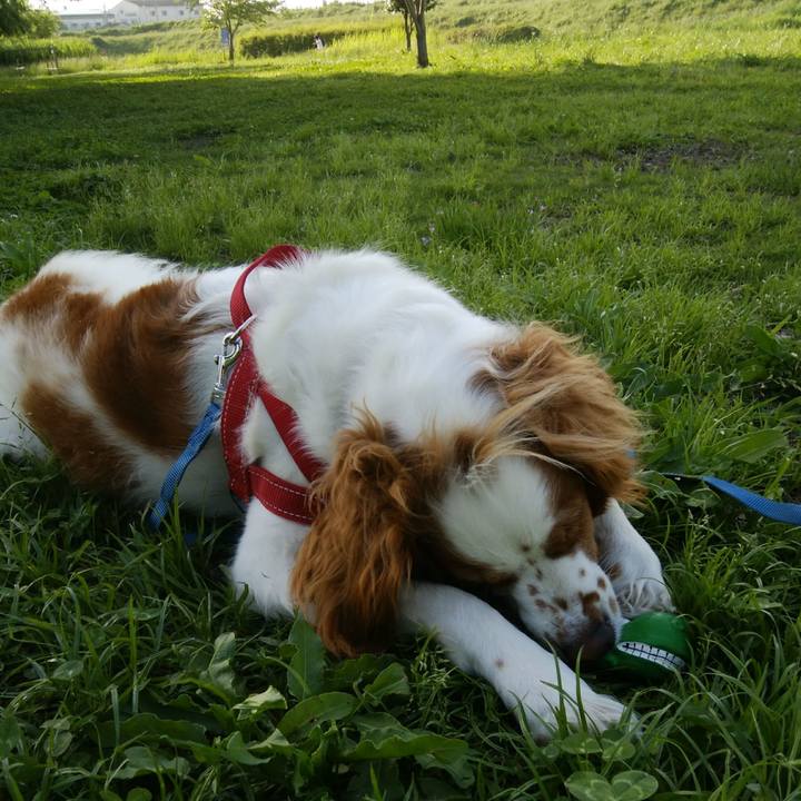 028282fb 3f4b 43a6 a937 6e89b56f544d 1527325533206