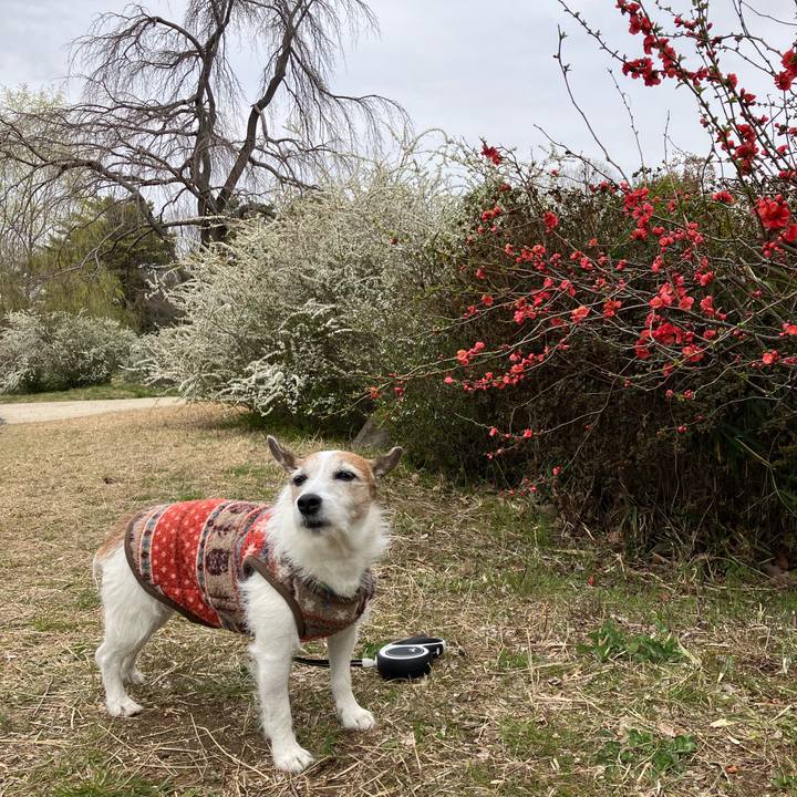 0282a573 b0a2 4bce 870b 6faa5f367bf0 1711667928979