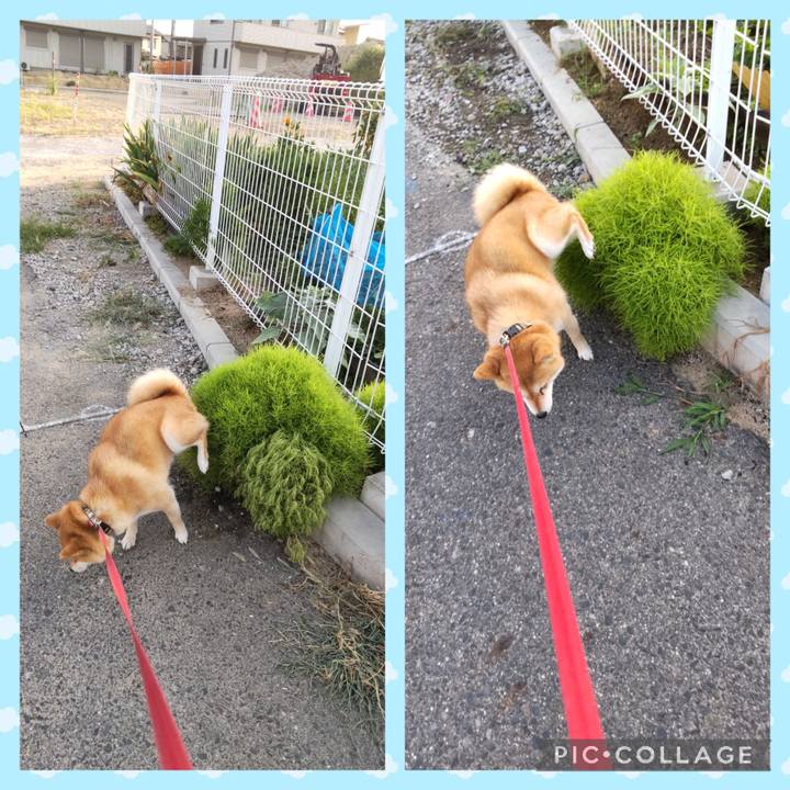 0282c6d7 b72f 46f7 bd5c 94139fe95b29 1752185817471