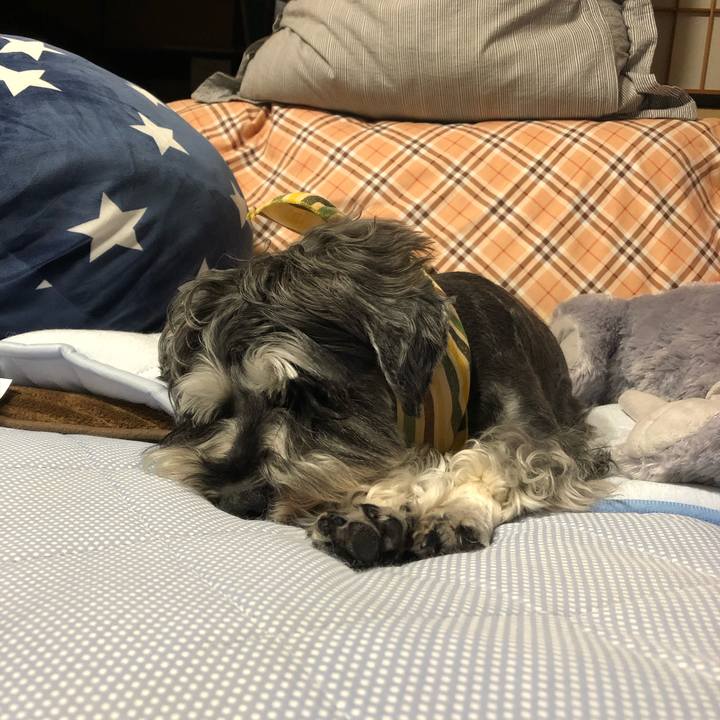 0282d306 43ee 458e 8b4d 49386695c2ec 1628082861001