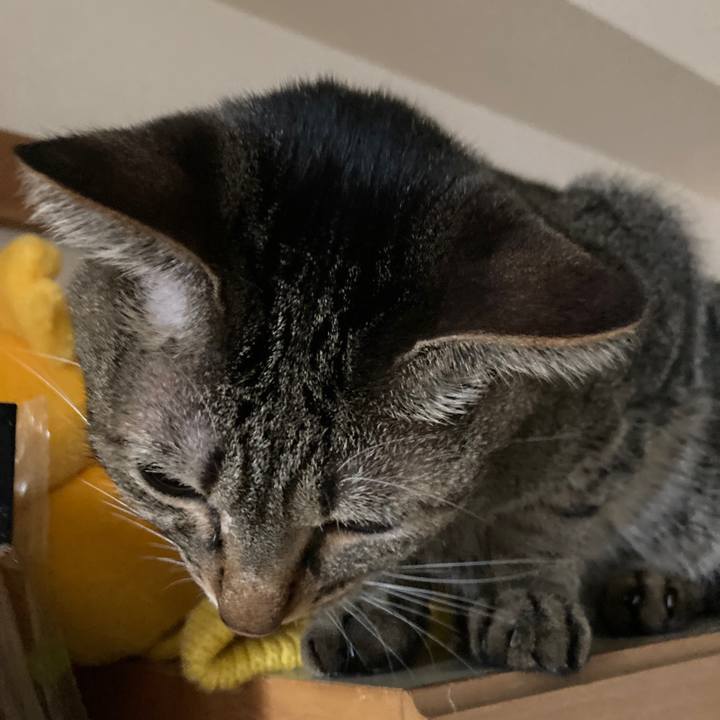 0282d5ac f2c7 48ff afc2 a40b72f73def 1757888793572