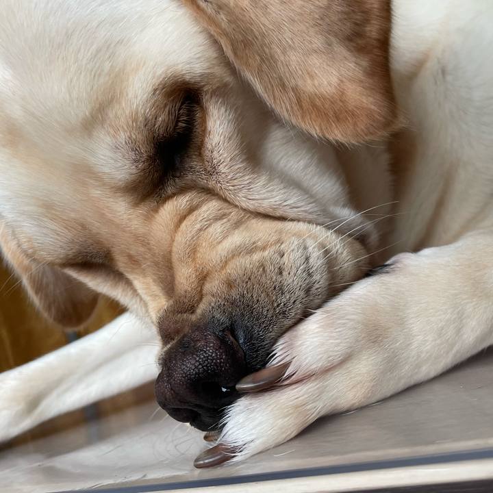 0282f586 c47e 4fa8 848a c34cf0891d56 1662251408554