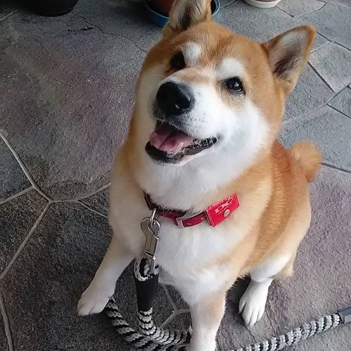 028304b8 0650 48a5 8d03 5eb7682988ec 1672279129339