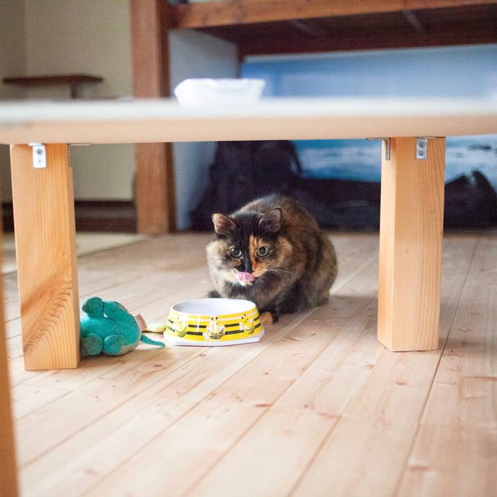 028307a7 873c 4f43 b5ea 6b2f6bdd918b 1579400194702